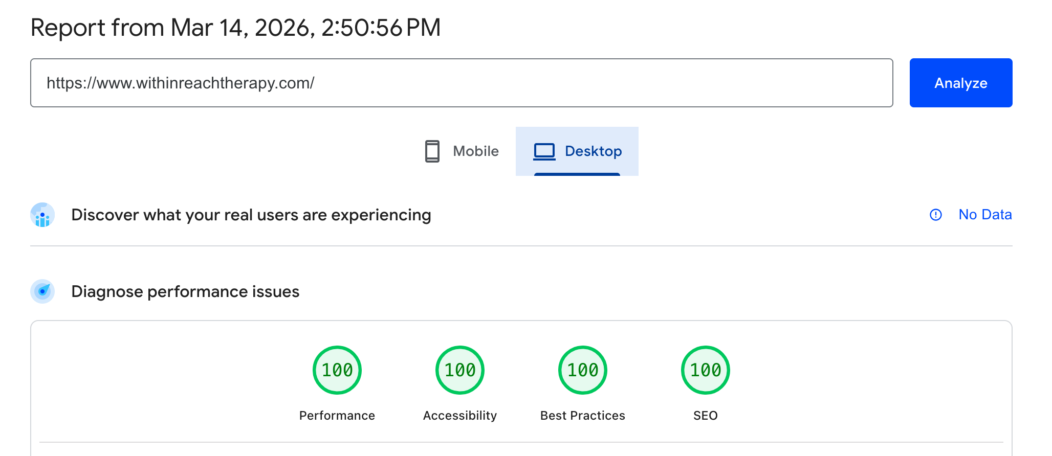 page speed score showing 100% in performance, accessibility, best practices and SEO